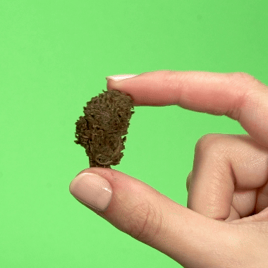 Northern Sky PHCP Blüten 1g