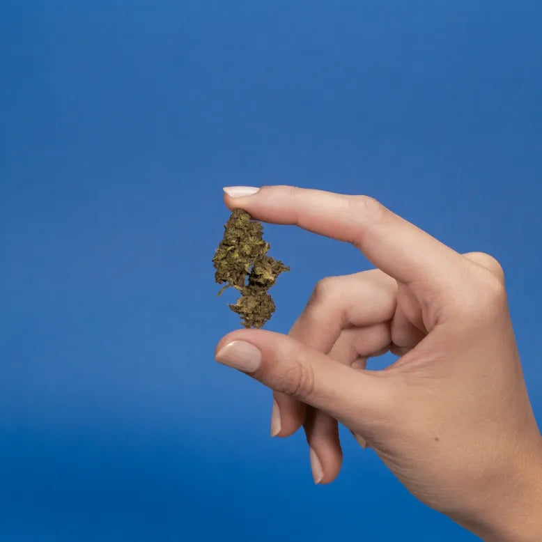 Fat Banana PHCP Blüten 1g