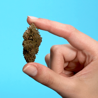 Monster Cookies PHC Blüten 1g