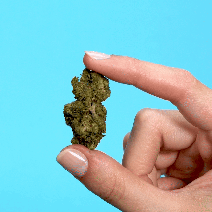 Ricks Royal Highness PHC Blüten 1g