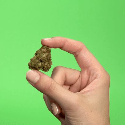 Krabs Kush PHC Blüten 1g