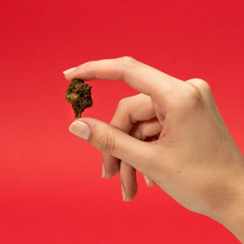 Frozen Gorilla Glue PHCP Blüten 1g