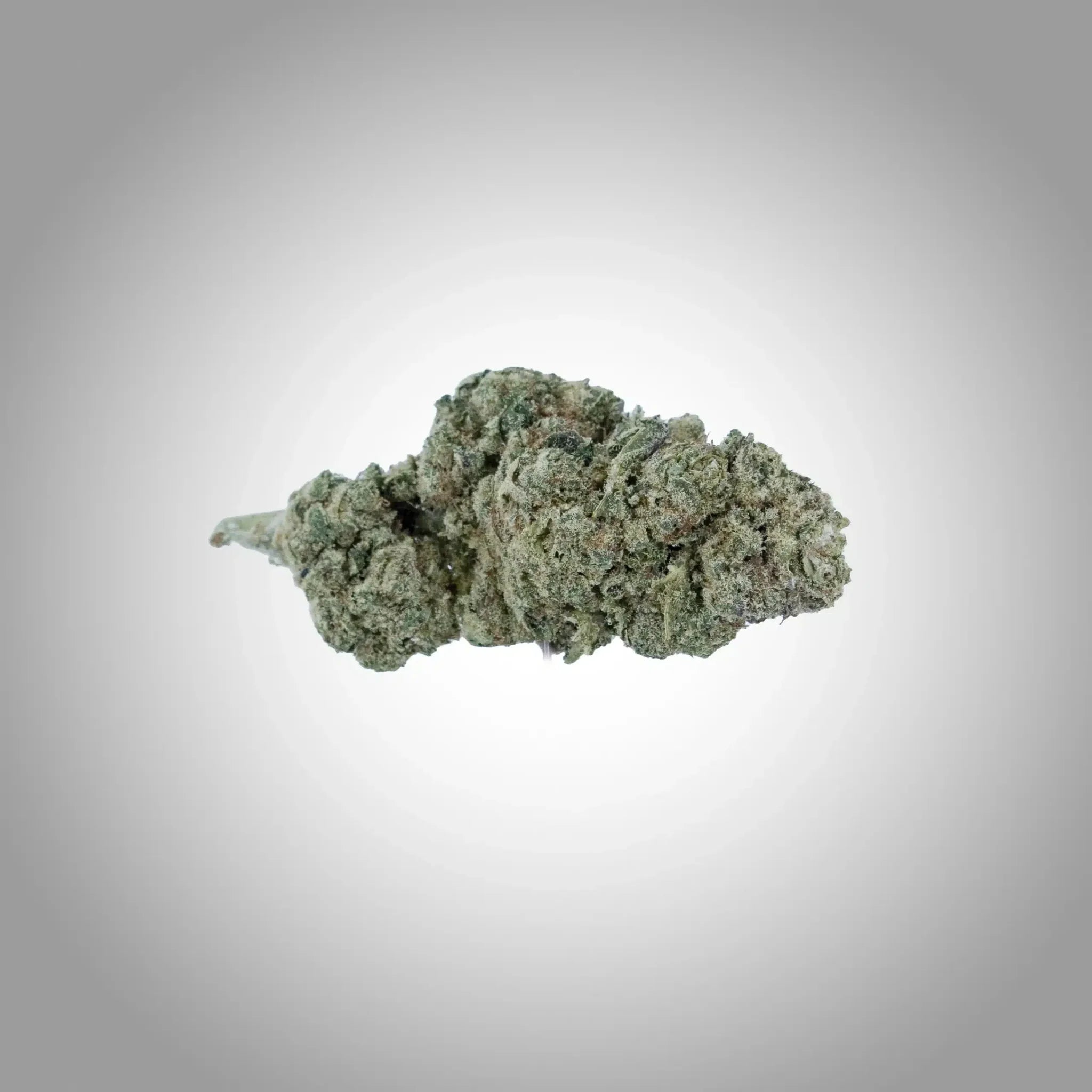 Blueberry Premium CBD Blüten 1g