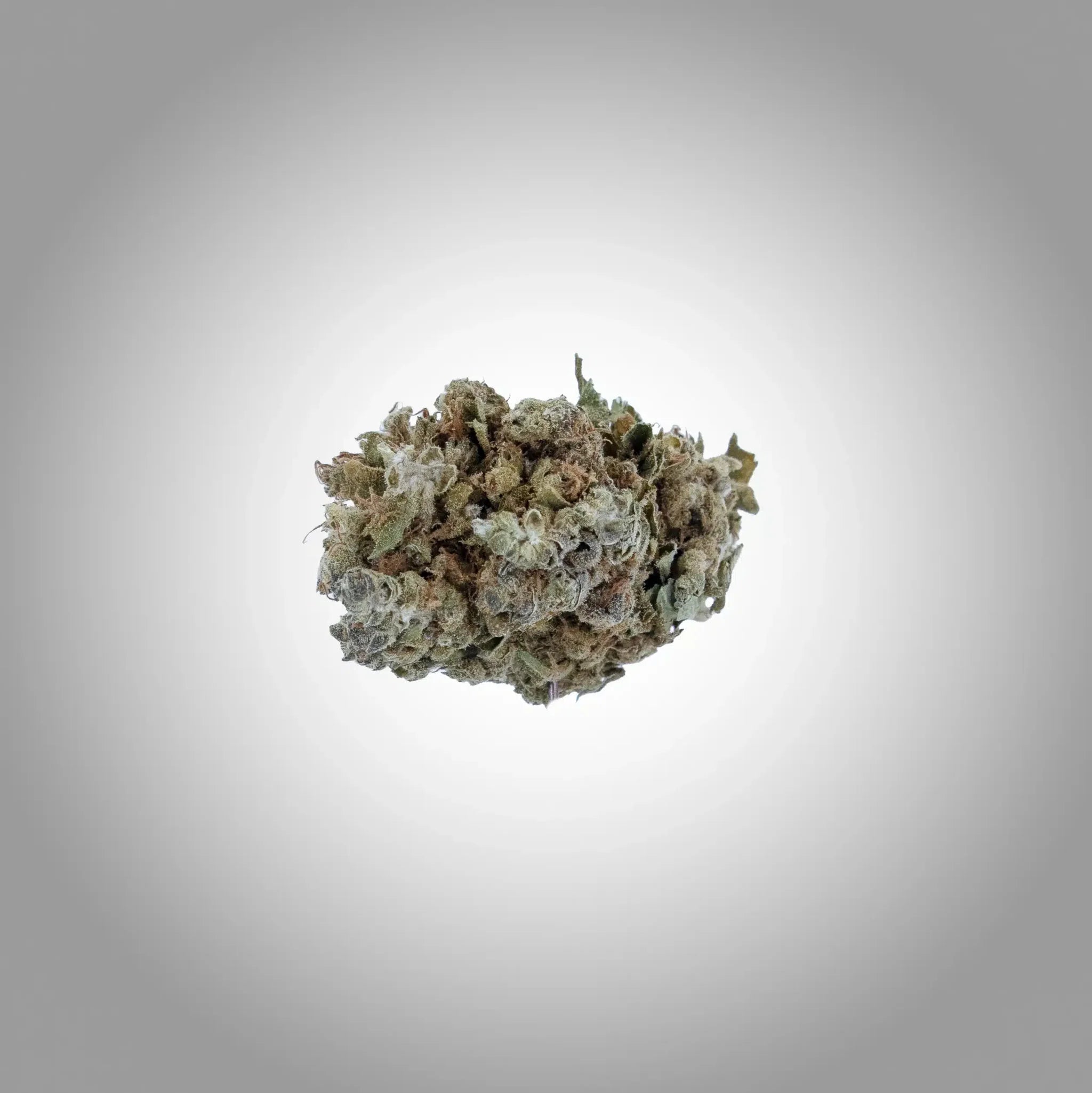 Gelato Premium CBD Blüten 1g