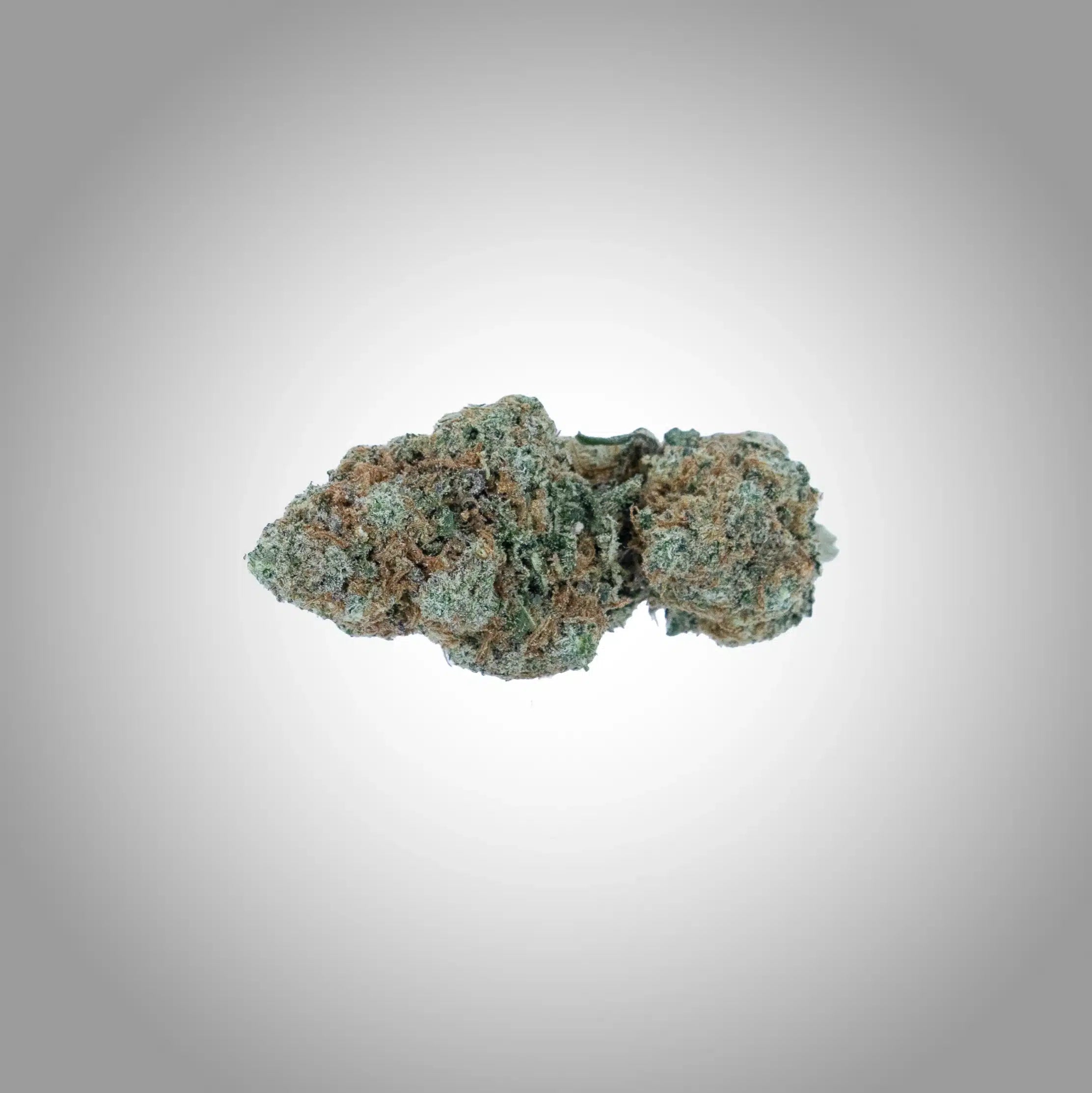 Chocolope Premium CBD Blüten