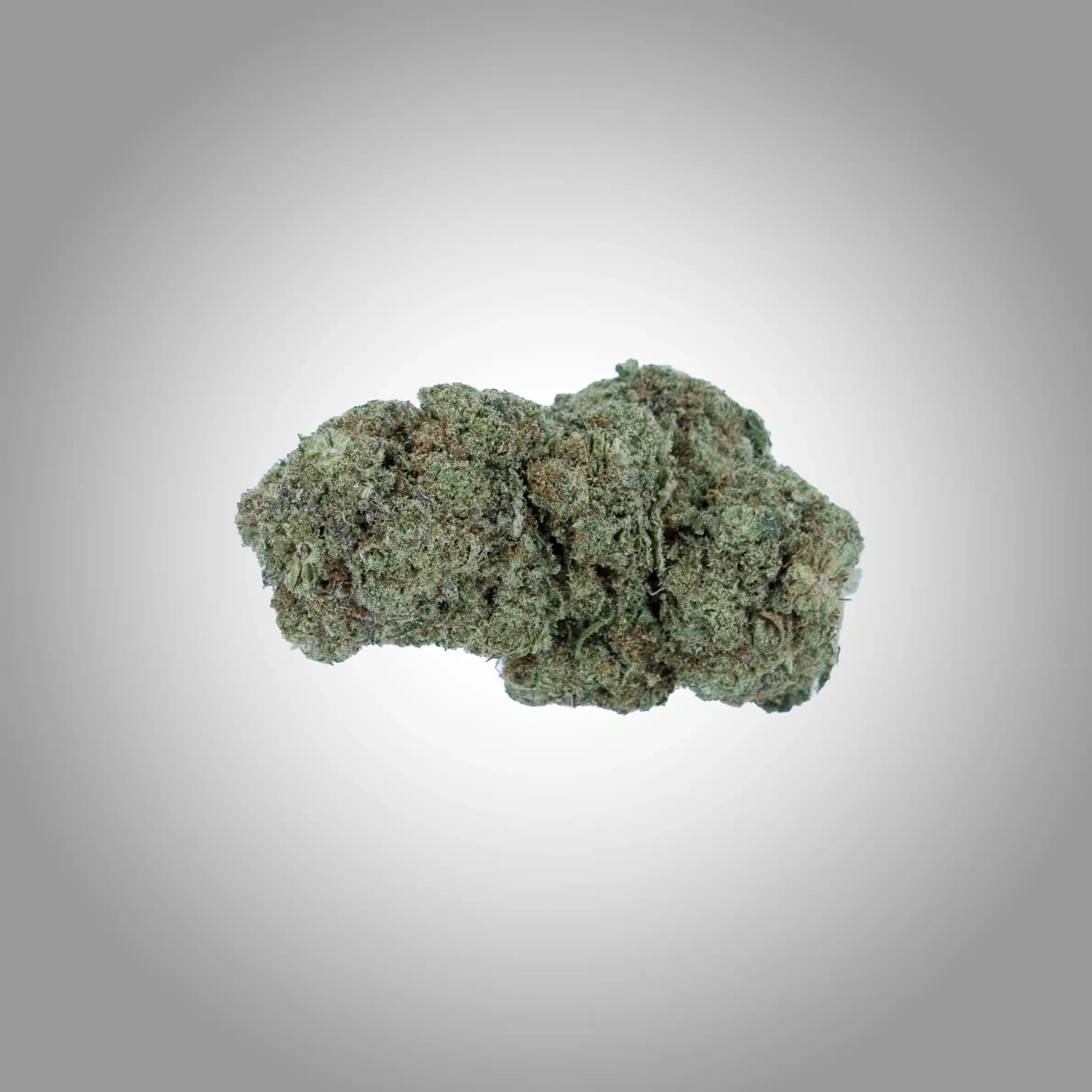 Exotic Haze Premium CBD Blüten