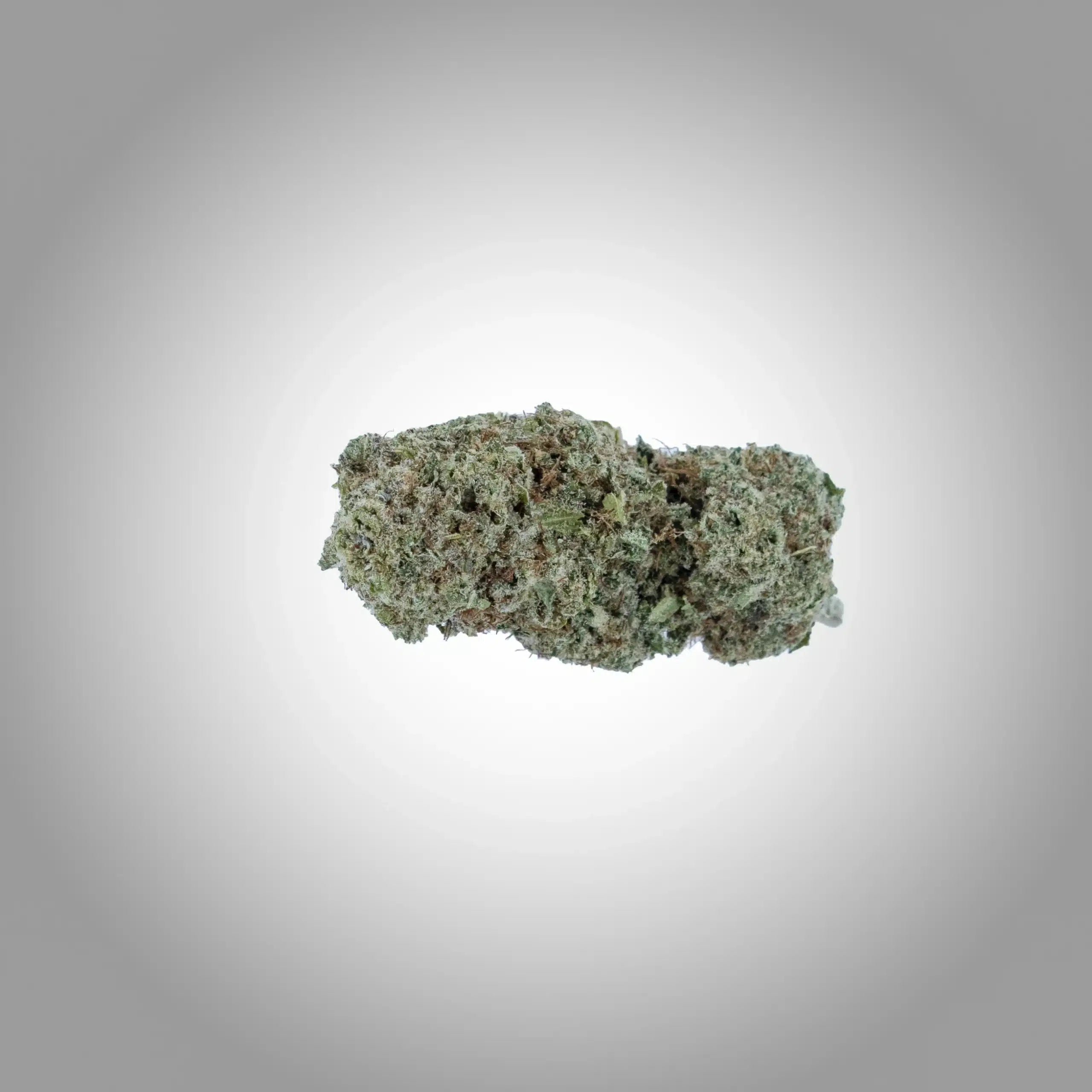 GMO Cookies Premium CBD Blüten