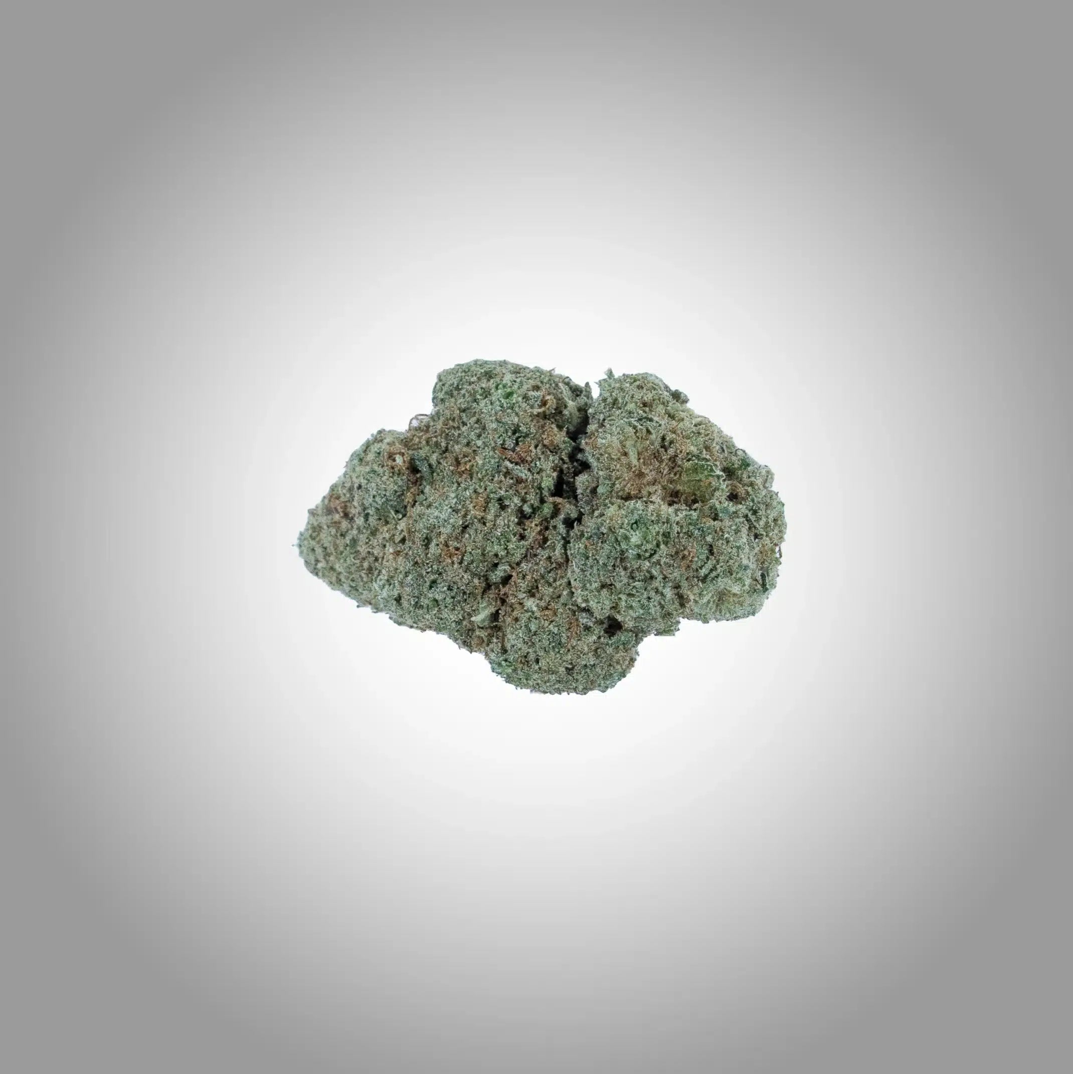 Mandarine Sherbet Premium CBD Blüten