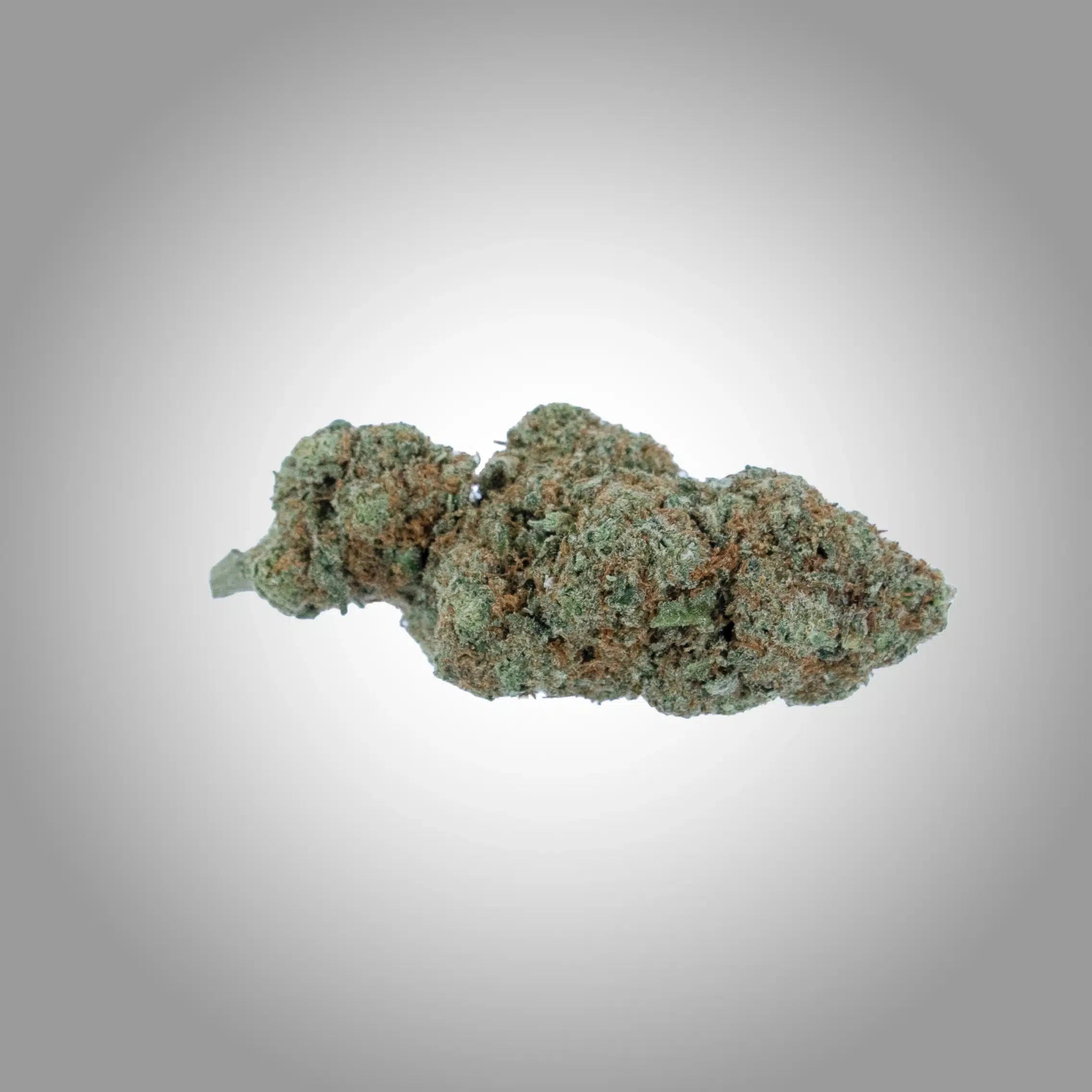 Northern Lights Premium CBD Blüten