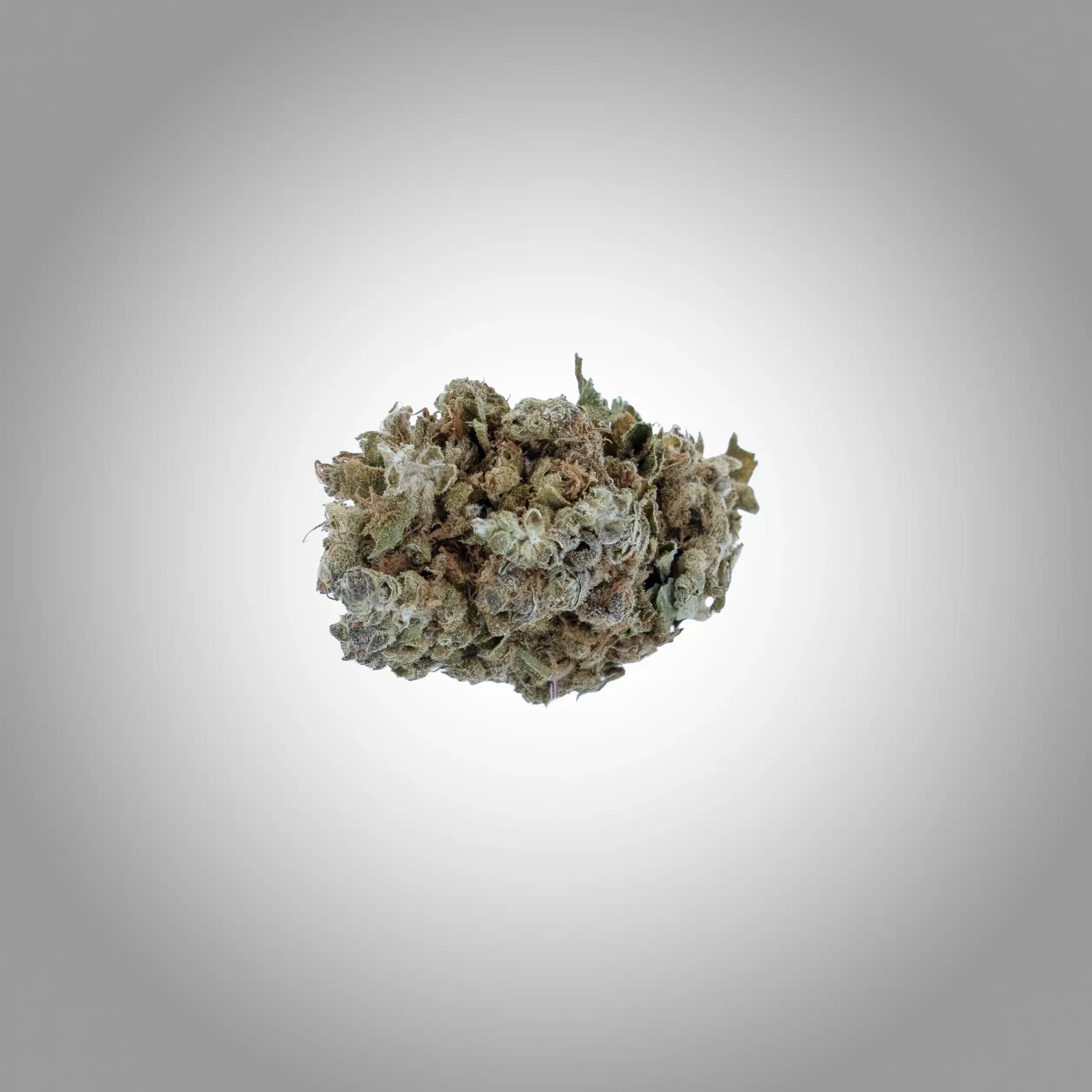 Pineapple Express Premium CBD Blüten