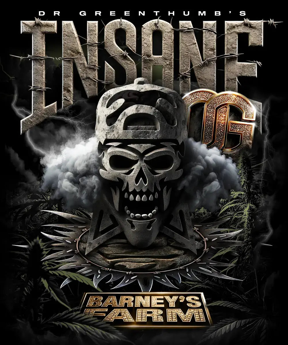 Insane OG Feminisiert 3x Cannabissamen