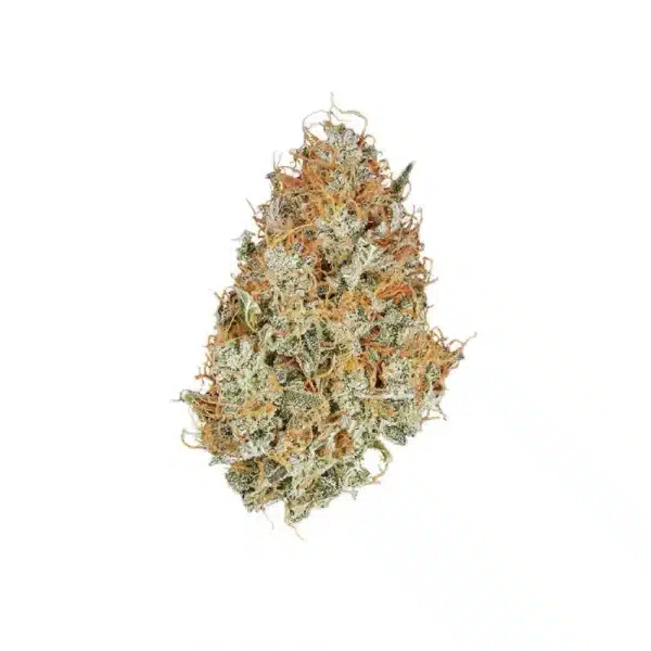 Amnesia Haze Automatic 3x Cannabissamen – Bild 2