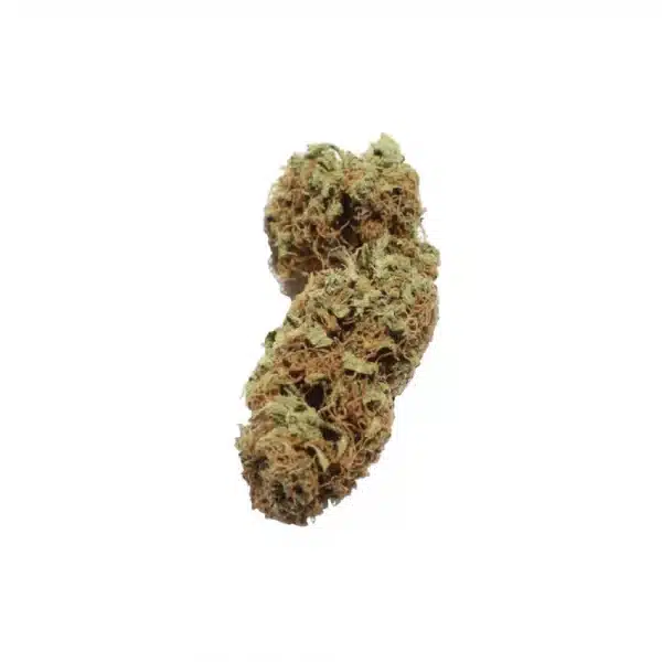 Northern Light Automatic 3x Cannabissamen – Bild 2