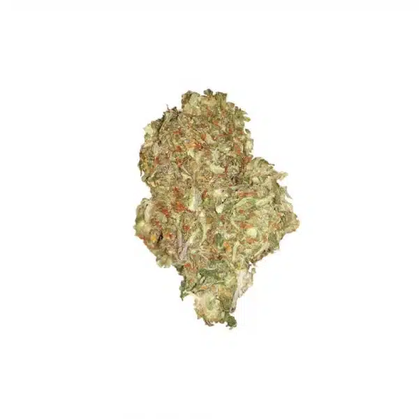Quick One Automatic 3x Cannabissamen – Bild 2