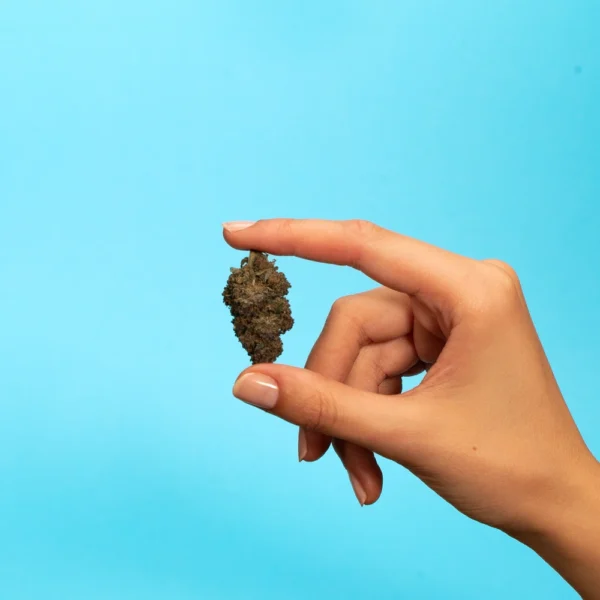 10-OH-HHC | Monster Cookies 1G – Bild 3