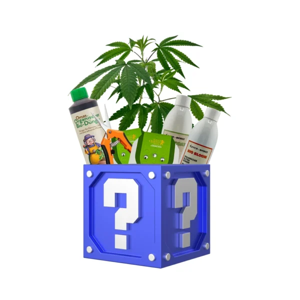 Green | Mystery Box | Grow Edition