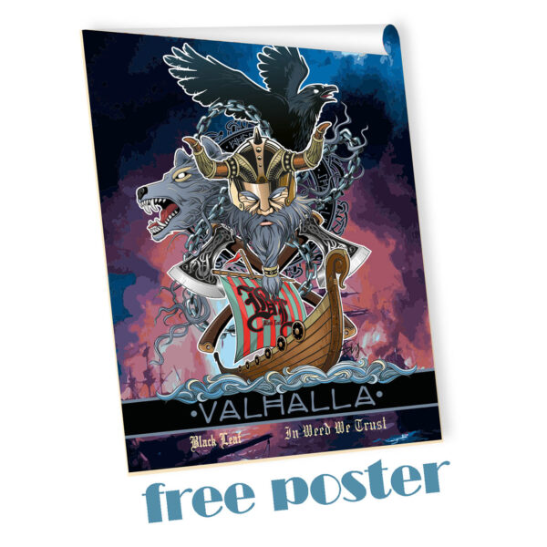 valhalla-poster.jpg