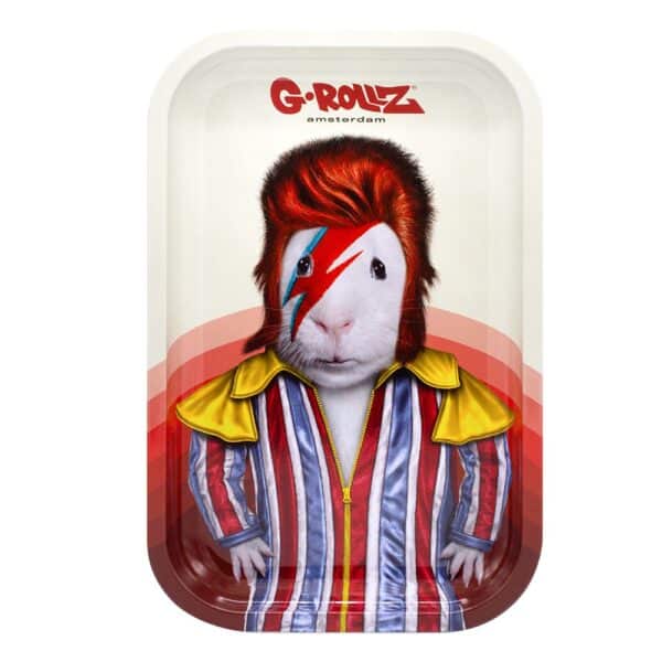 G-Rollz  Glam Rock Medium Tray 17.5 x 27.5 cm Front.jpg